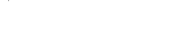 PETIR19 Logo